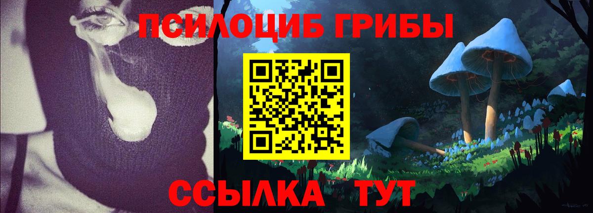 Галлюциногенные грибы GOLDEN TEACHER Зеленогорск